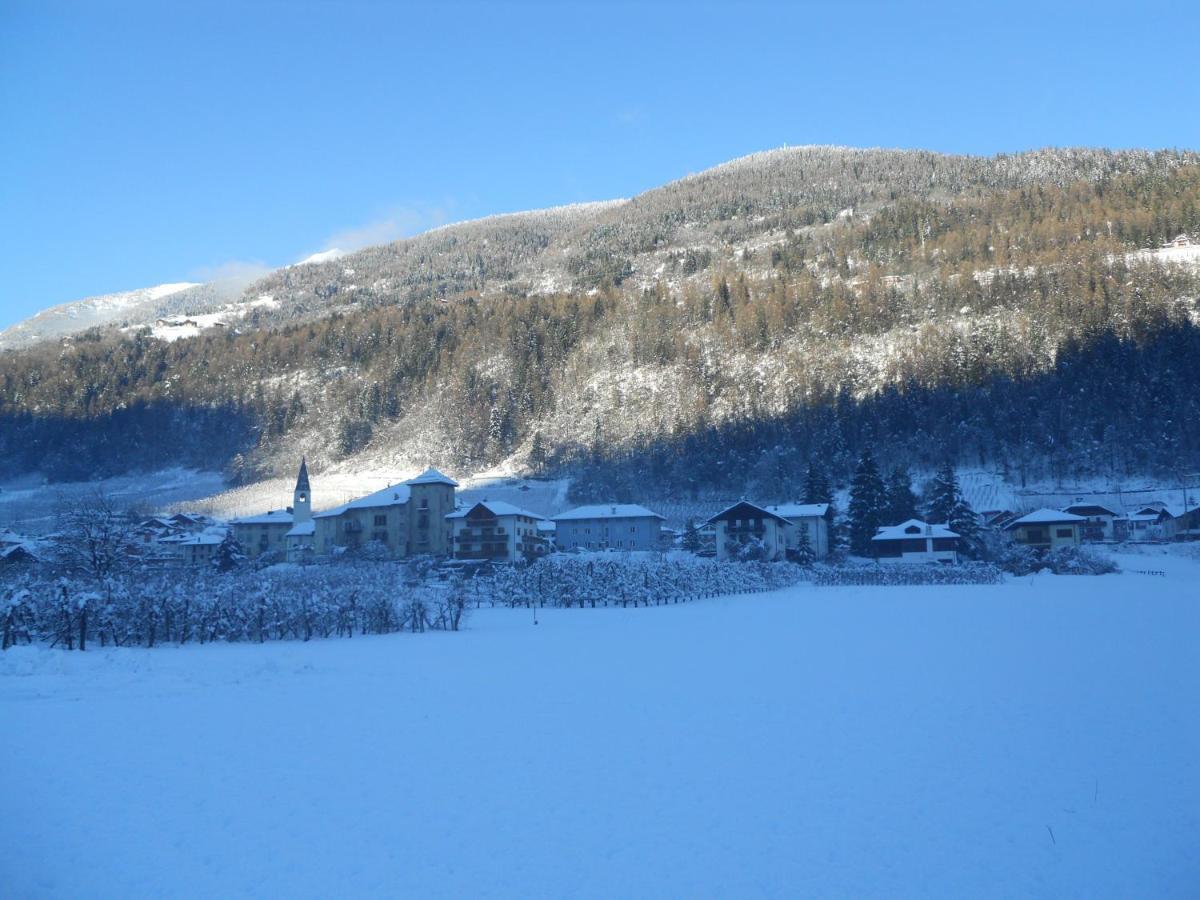 Appartamento Angeli Dolomiti House Croviana Esterno foto