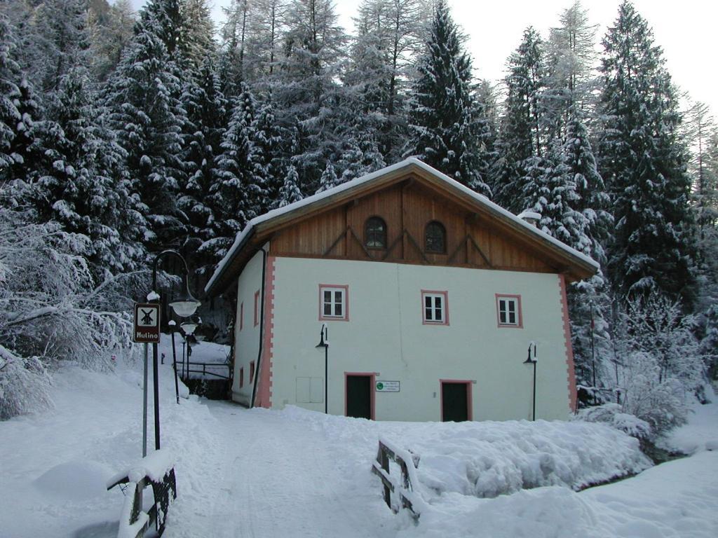 Appartamento Angeli Dolomiti House Croviana Esterno foto